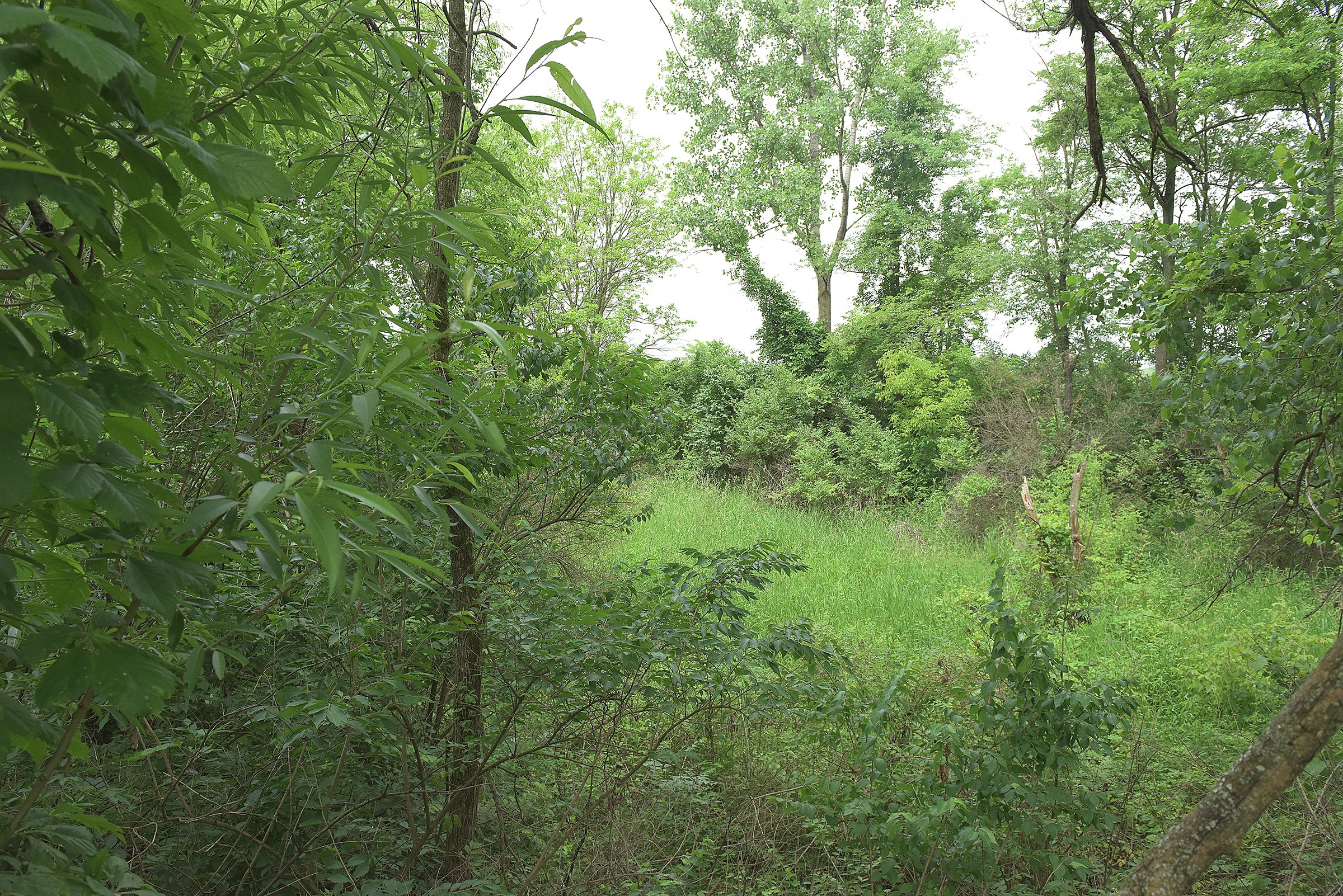 Lake County, Indiana farmland - LAND AUCTION - 147+/- ACRES OFFERED IN 3 TRACTS IN LAKE COUNTY, INDIANA